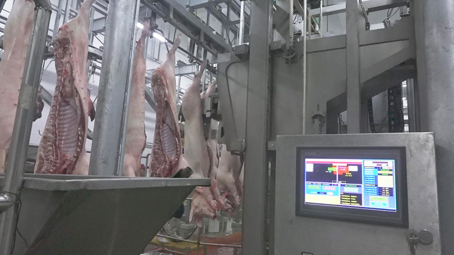 豬自動劈半機