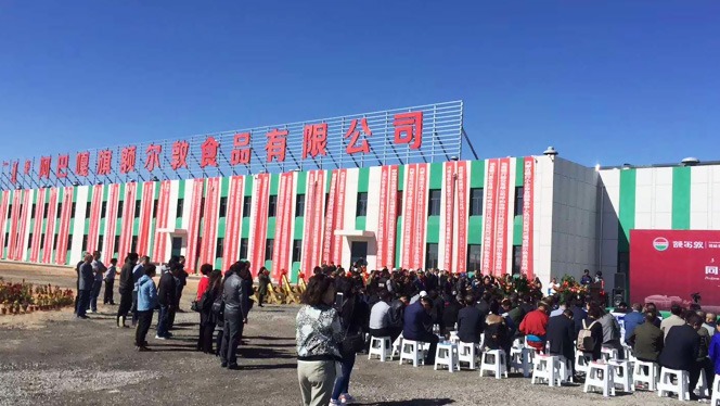 青島建華接下額爾敦公司班產(chǎn)100頭牛，3000只羊的屠宰流水線(xiàn)