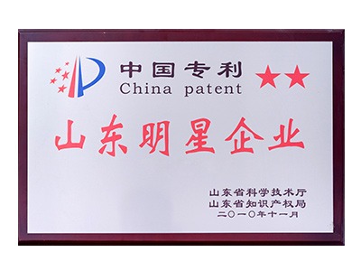 山東明星企業(yè)