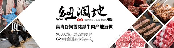 青島建華接下高青黑牛（紐瀾地黑牛）歐式年產(chǎn)7萬頭牛生產(chǎn)線