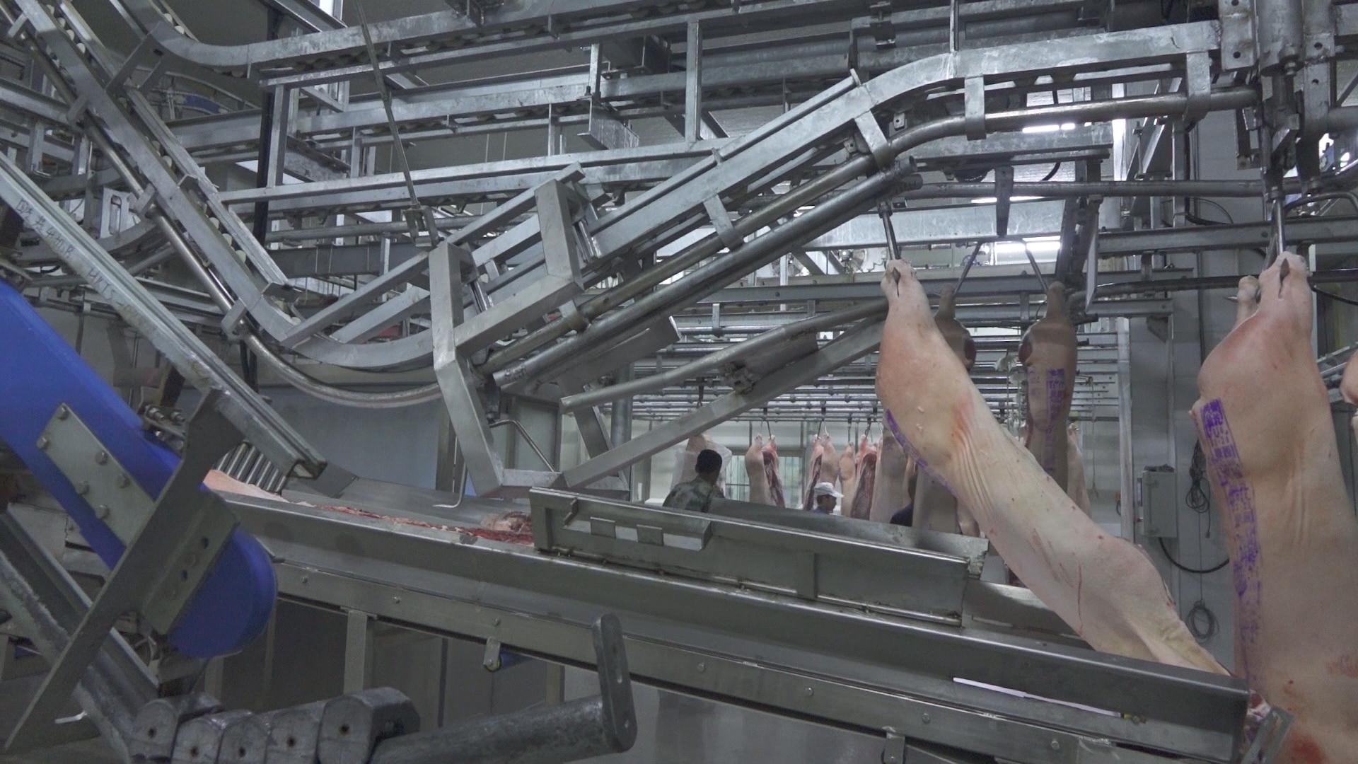 自動卸肉機(jī)入口2222